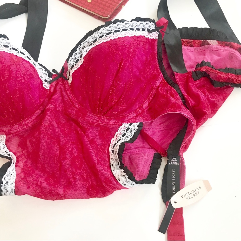 VS | Teddy - Picture 5 of 8